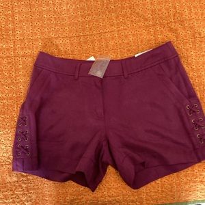 NWT White House Black Market, The 5" Short, Twill Lace Up, Color Gypsy, Size 4P